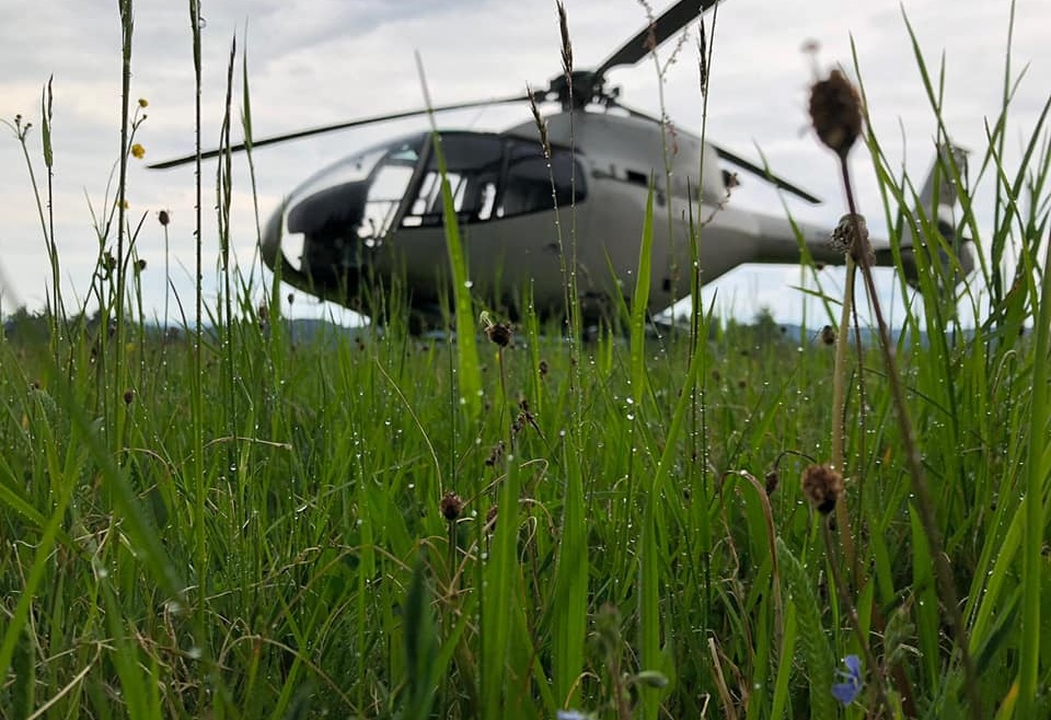 Hubschrauber Landung auf der Bison-Ranch